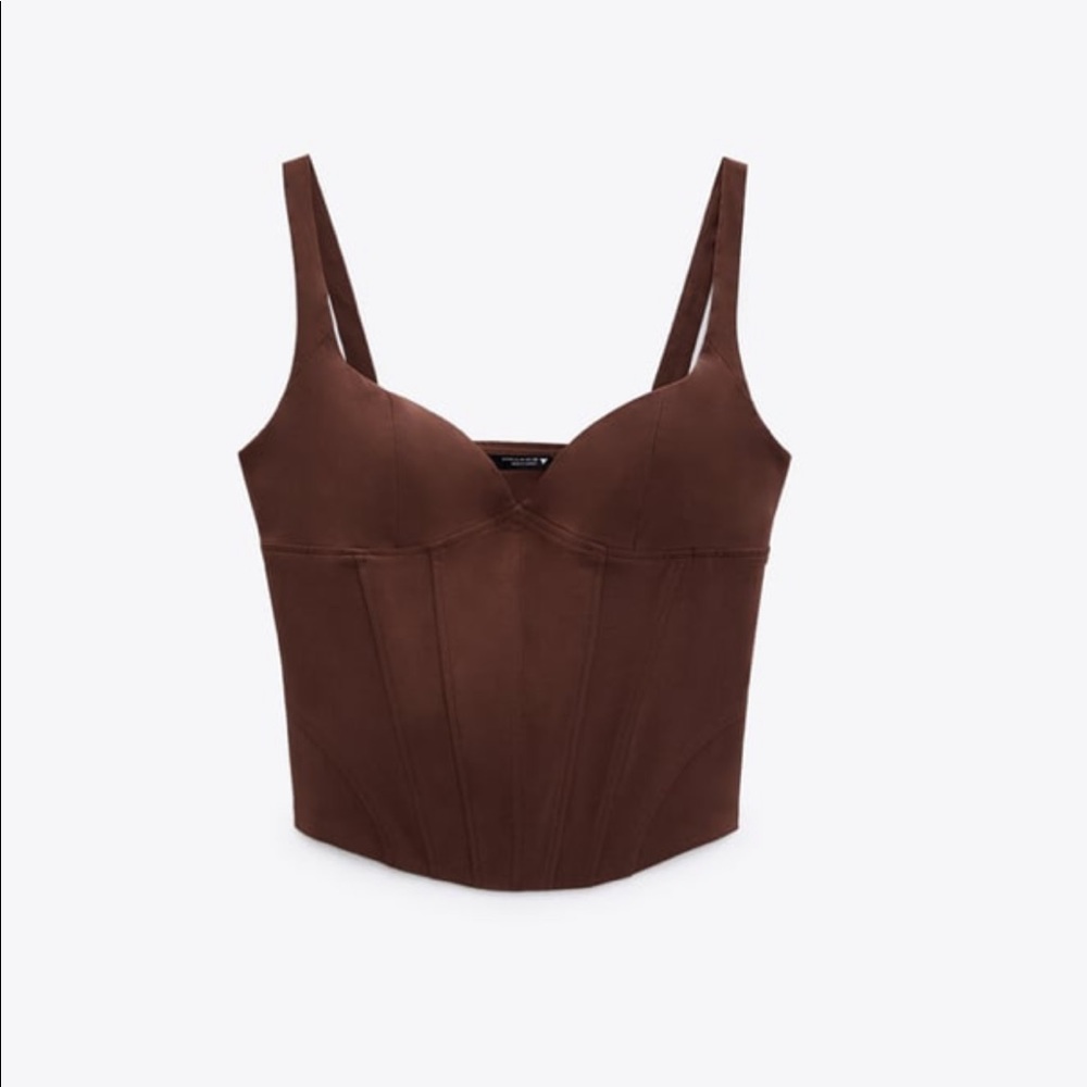 Zara Corset Top NWT
